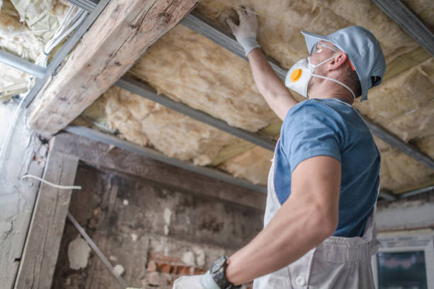 Best Insulation Repair Services  in Cold Springs, NV